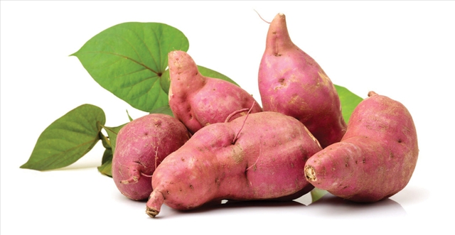 Khoai lang chứa lượng chất xơ h&ograve;a tan v&agrave; kh&ocirc;ng h&ograve;a tan gi&uacute;p điều h&ograve;a nhu động ruột.