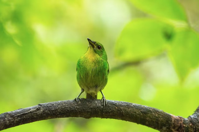 Người sinh vào giờ Dậu dễ nhận được sự tin tưởng từ đồng nghiệp, cấp trên và đối tác - Ảnh minh họa.