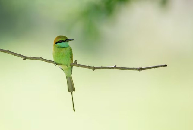 Khi đã xác định rõ mục tiêu, tiềm năng của người sinh giờ Ngọ sẽ phát huy mạnh mẽ - Ảnh minh họa.