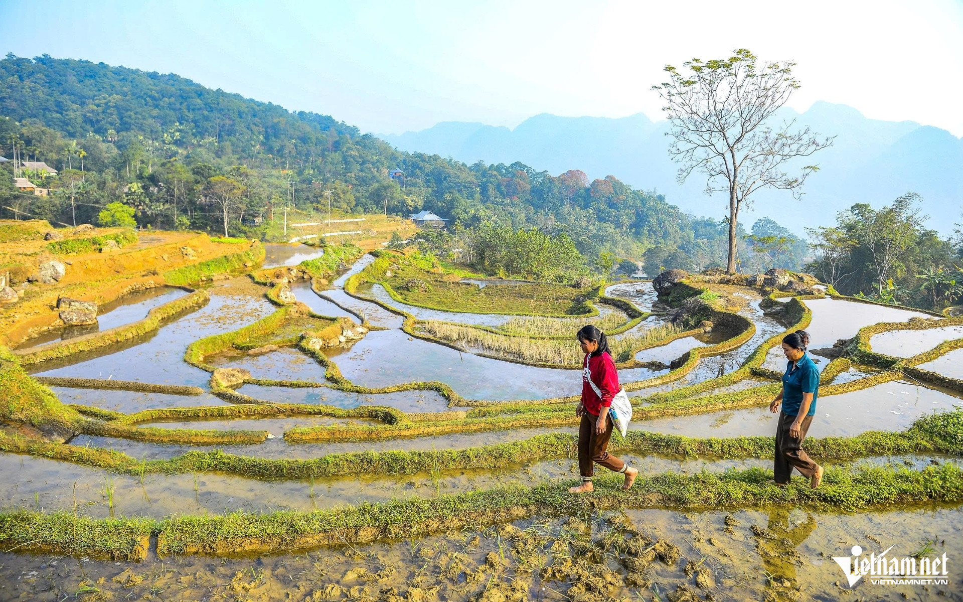Ra Đồng Là Công Việc Thường Ngày Của Người Dân Nơi Đây. Ảnh: Lê Dương
