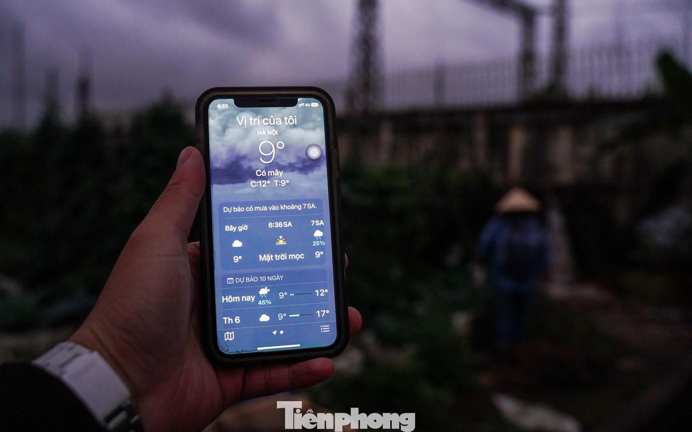 Giữa những ngày rét đậm, nhiệt độ Thủ đô sáng sớm chỉ còn 9–13 độ C, mưa phùn lất phất, nông dân làng hoa Tây Tựu (Hà Nội) vẫn miệt mài xuống đồng từ tờ mờ sáng, chăm sóc hoa phục vụ vụ Tết Nguyên đán sắp tới.