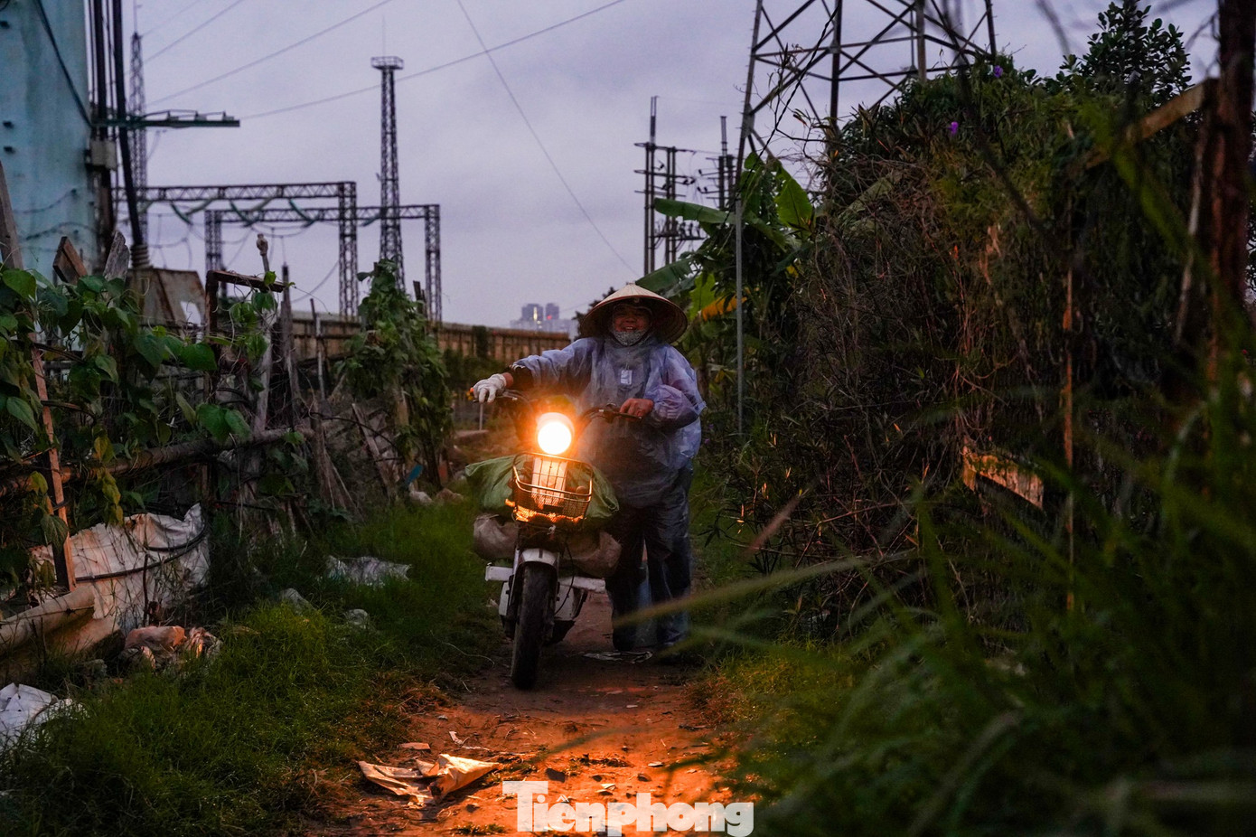 Ghi nhận PV, từ 6 giờ khi trời chưa sáng hẳn, bà Phạm Liên (làng hoa Tây Tựu) đã mặc áo mưa xuống vườn. “Trời lạnh, hoa dễ chậm phát triển nên phải ra sớm, kiểm tra độ ẩm và điều chỉnh nước tưới cho phù hợp để hoa nở đúng vụ Tết”, bà Liên nói.