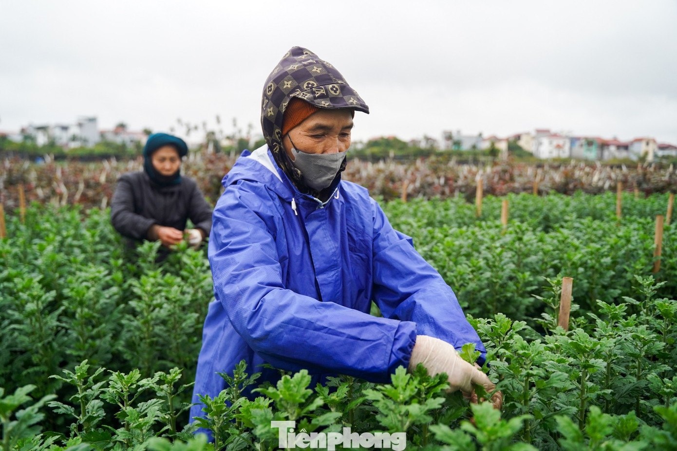 img src/upload/1-2026/images/2026-01-22/1769069219-tp-taytuu221-23-width1390height926.jpg width660 /