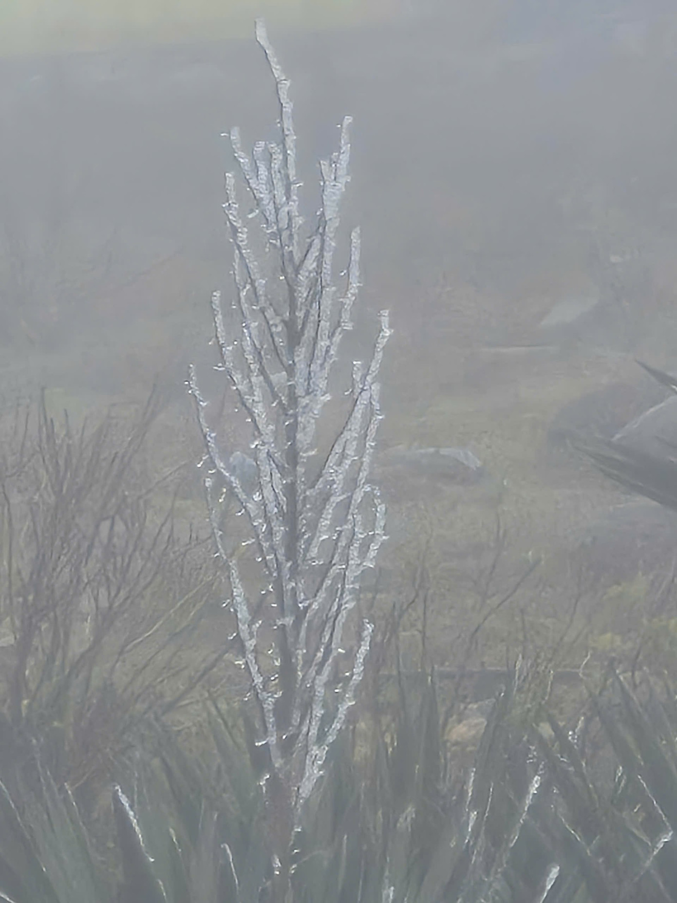 img src/upload/1-2026/images/2026-01-22/1769069433-z2-89c5afea06bdc1f3b3eeddf51036ffaa-width720height960.jpg width660 /