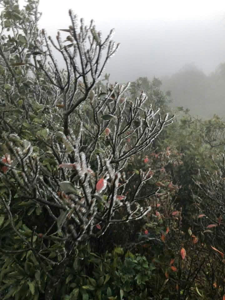 VIDEO: Băng giá xuất hiện trên đỉnh Mẫu Sơn - 5