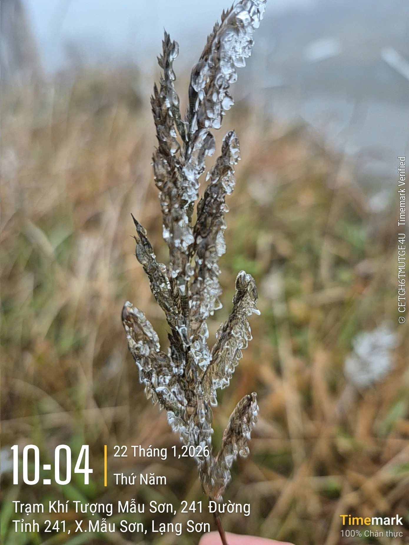 img src/upload/1-2026/images/2026-01-22/1769069440-z3-73a09860f12ca032d5e2c7a9c9-width1390height1853.jpg width660 /