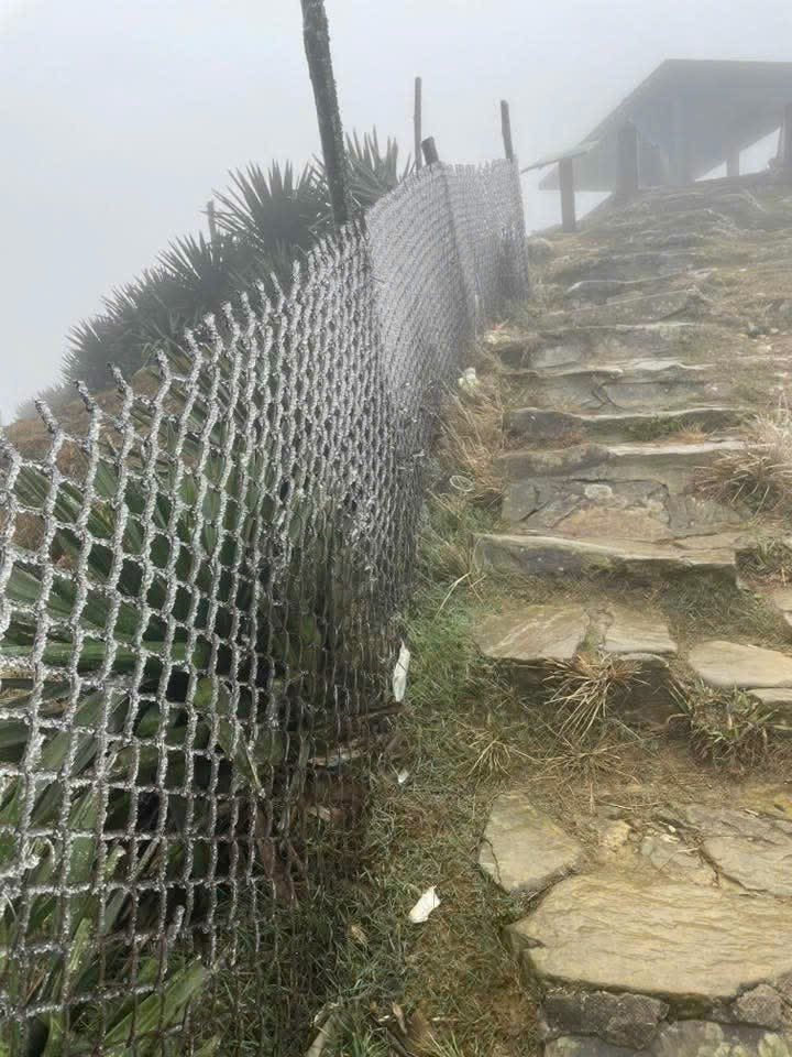 img src/upload/1-2026/images/2026-01-22/1769069441-z0-35354a73baf264c47d736e70de5ec13a-width1390height1853.jpg width660 /