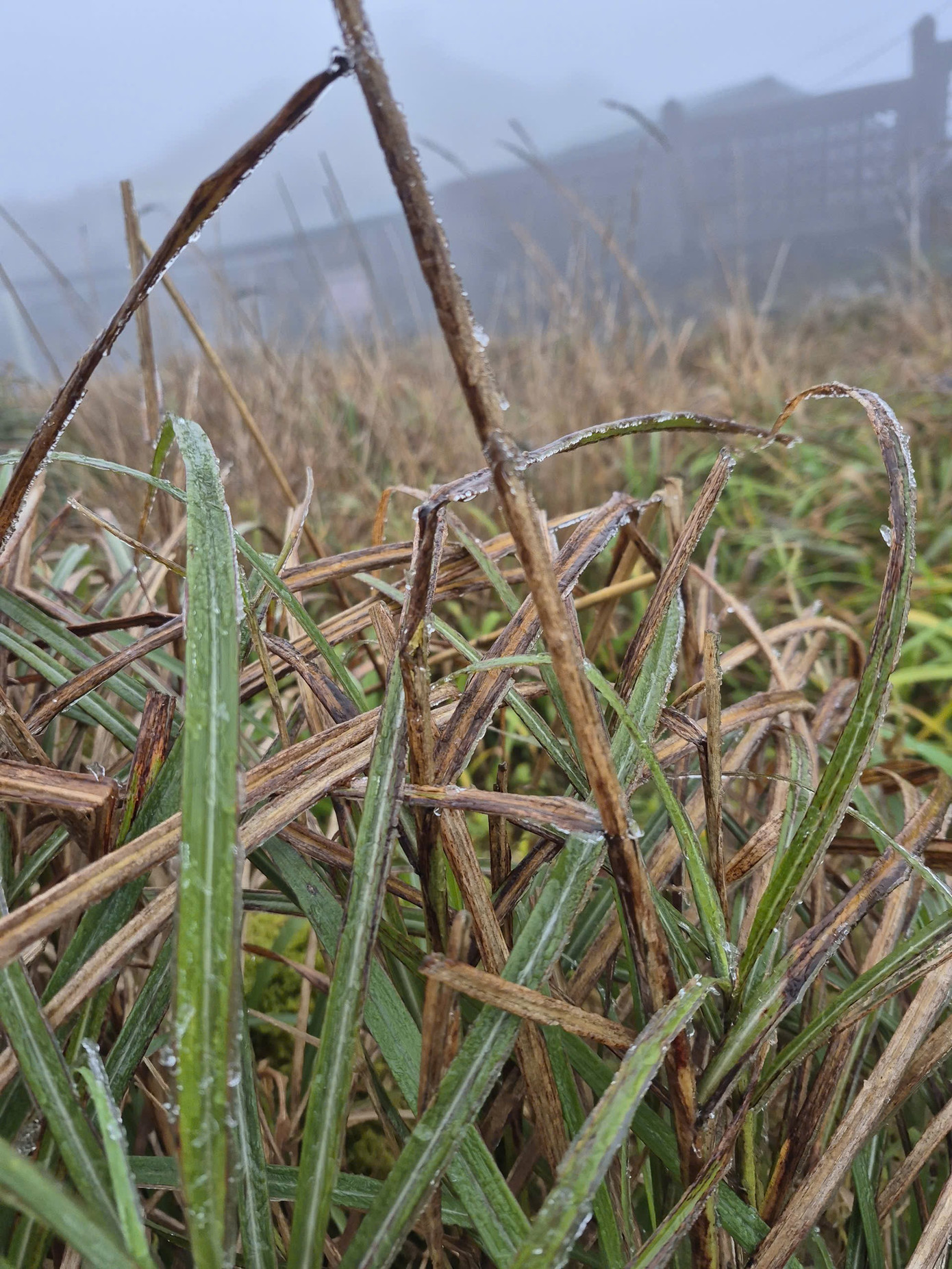 Tỉnh Lạng Sơn khuyến cáo trong điều kiện thời tiết khắc nghiệt, người dân, nhất là ở các khu vực vùng núi cao, nhiệt độ thường thấp hơn các nơi khác, bà con đã thực hiện các biện pháp giữ ấm bằng cách mặc thêm áo giữ ấm, không ra ngoài lúc sáng sớm và đêm muộn.