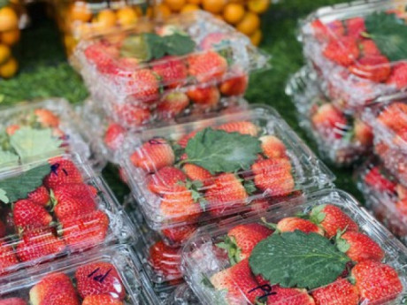 Loại quả trước đây chỉ "nhà giàu" mới dám ăn giờ bán đầy vỉa hè giá rẻ khó tin