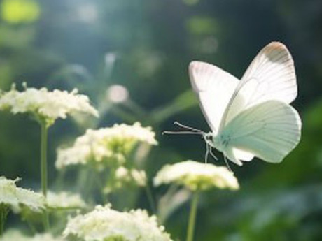 Bà bầu - Tử vi tiết lộ 5 khung giờ sinh được coi là "mệnh có của"