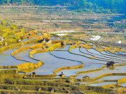 Lifestyle - Khách Tây thích thú check-in ruộng bậc thang mùa đổ nước ở Pù Luông