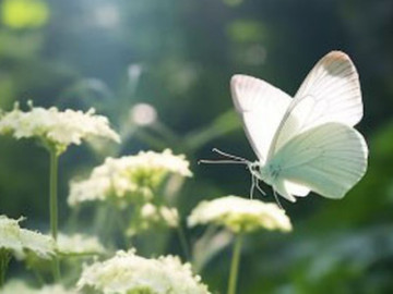 Bà bầu - Tử vi tiết lộ 5 khung giờ sinh được coi là "mệnh có của"