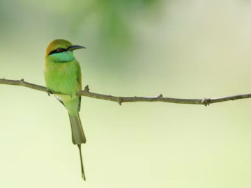 Bà bầu - Sinh đúng khung giờ vượng công danh: Sếp trọng dụng, dễ lên chức