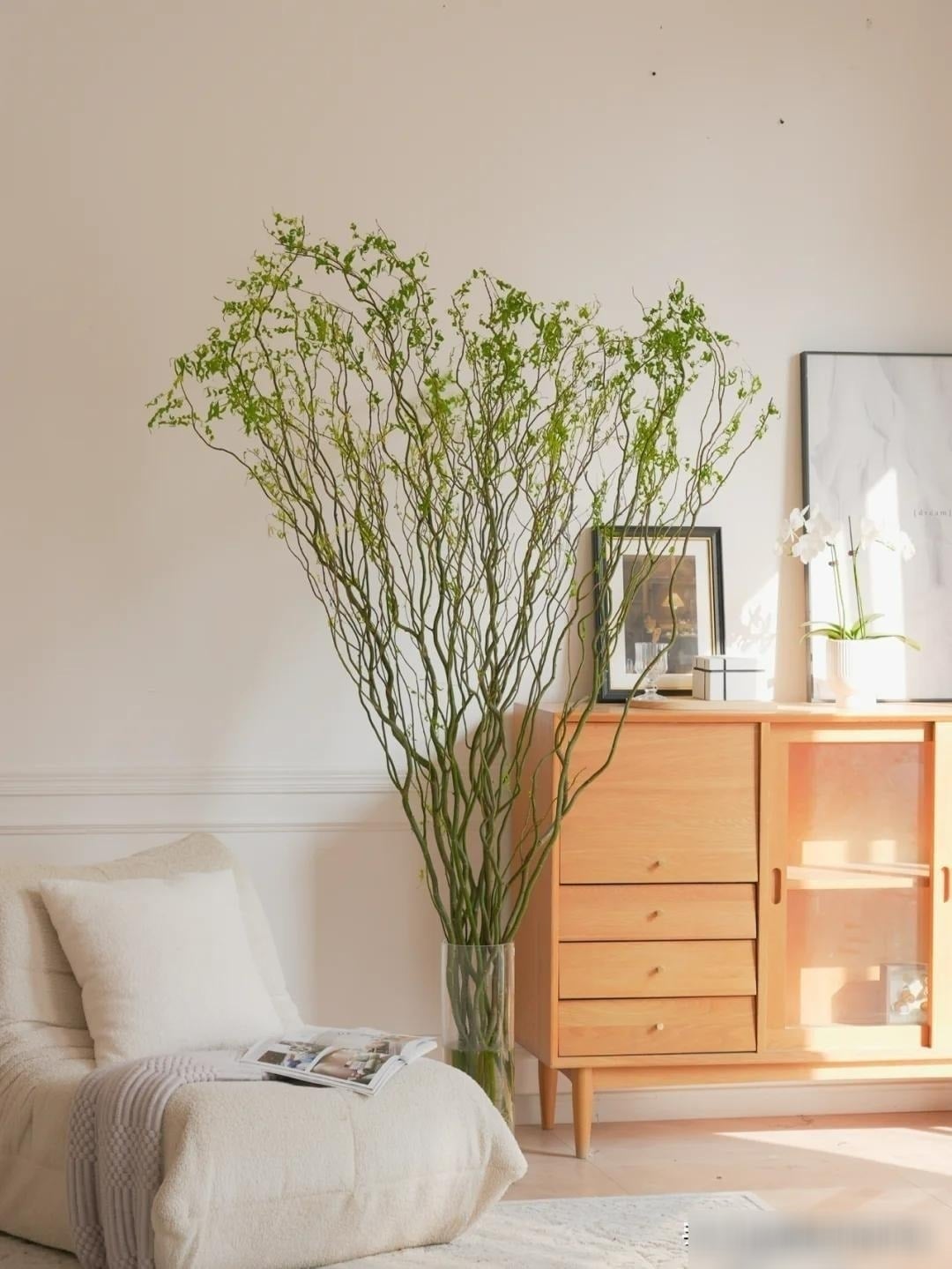 Cây cảnh cắt cành được yêu thích. Ảnh minh họa Toutiao