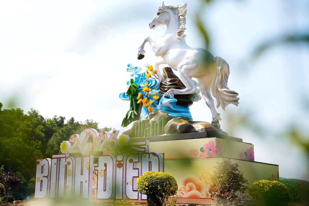 Img Src/Upload/1-2026/Images/2026-01-23/1769153453-728-4987--N-Width1390Height927.Jpg Width660 /