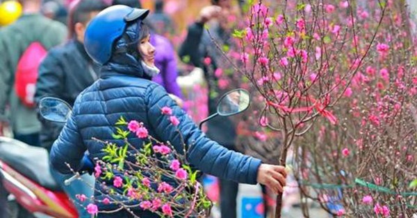 Theo dự báo thời tiết, dịp Tết Nguyên đán 2026 miền Bắc mưa rét do ảnh hưởng không khí lạnh. Ảnh minh họa: TL