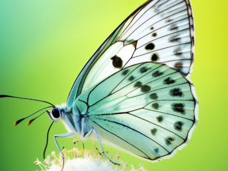 Bà bầu - Nếu cuộc sống quá vất vả đừng nản lòng: Sinh vào những ngày Âm lịch này thành công thường đến muộn