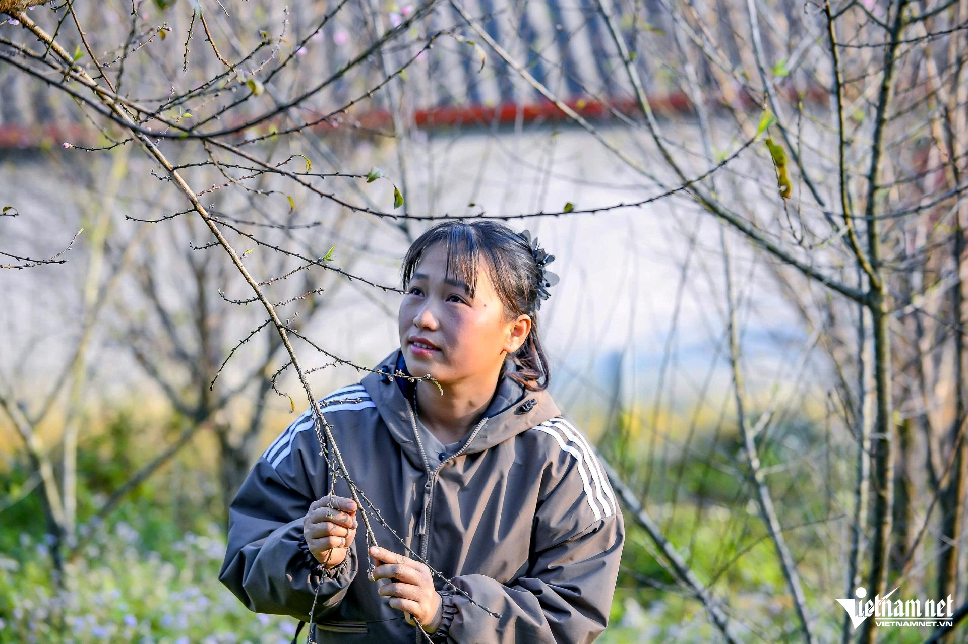 Check-In Xuân Sớm Ở Vùng Cao Xứ Thanh, Hoa Đào, Hoa Mận Khoe Sắc Một Thiếu Nữ Đang Chụp Ảnh Bên Vườn Đào Của Gia Đình. Ảnh: Lê Dương