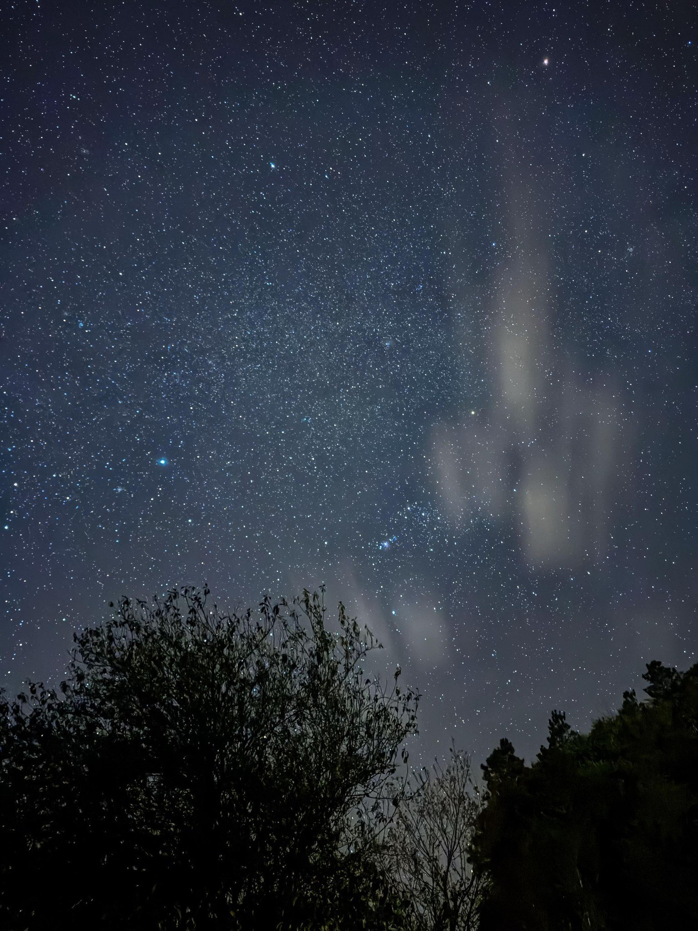 Không Chỉ Có Milky Way, Tại Đỉnh Tà Xua, Du Khách Cũng Được Dịp Ngắm Trọn Bầu Trời Đầy Sao Lấp Lánh. Ảnh: Người Trẻ Sống Chill (Hungpvan).