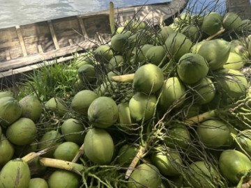 Không phải sầu riêng, đây mới là “át chủ bài” tỷ đô ở Việt Nam: Trung Quốc, Mỹ đổ xô nhập, nông dân thu trăm triệu/năm