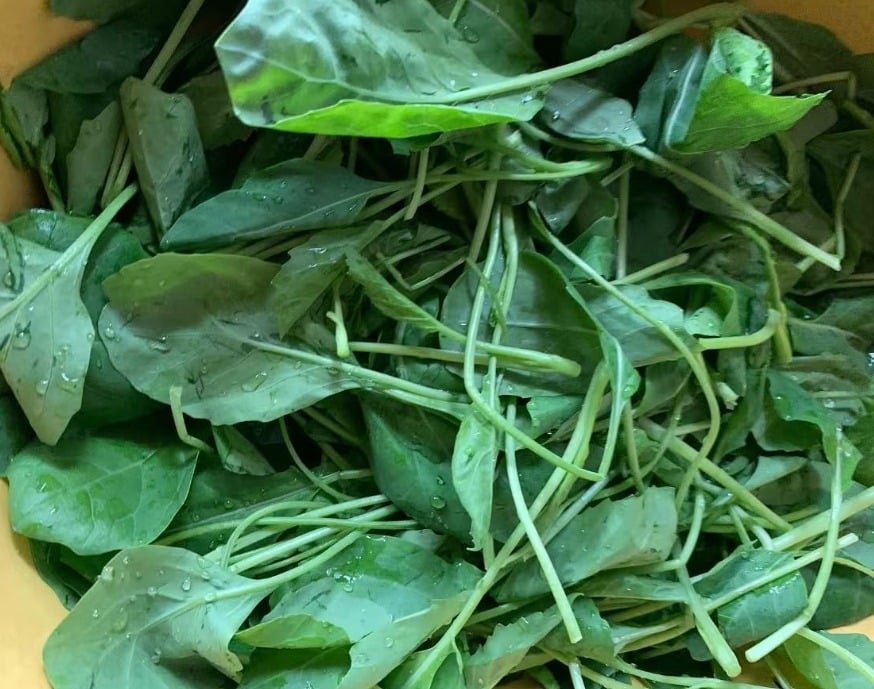 Loại rau giòn ngọt, giúp ẩm phổi, giảm ho, sáng mắt, xào đơn giản vẫn thơm ngon cực kỳ - 5