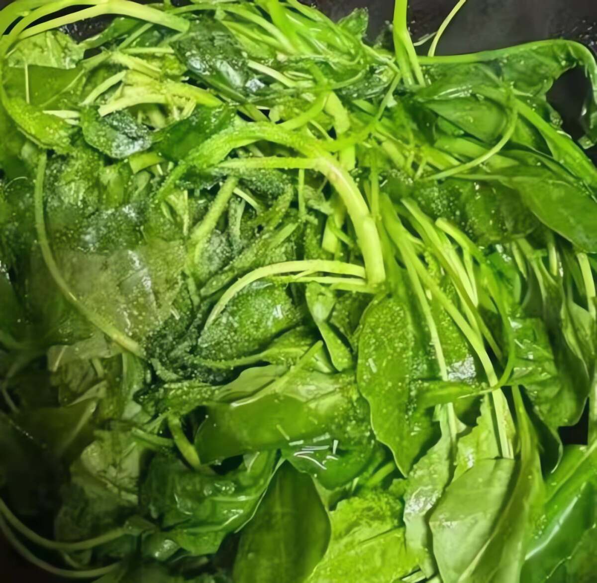 Loại rau giòn ngọt, giúp ẩm phổi, giảm ho, sáng mắt, xào đơn giản vẫn thơm ngon cực kỳ - 8