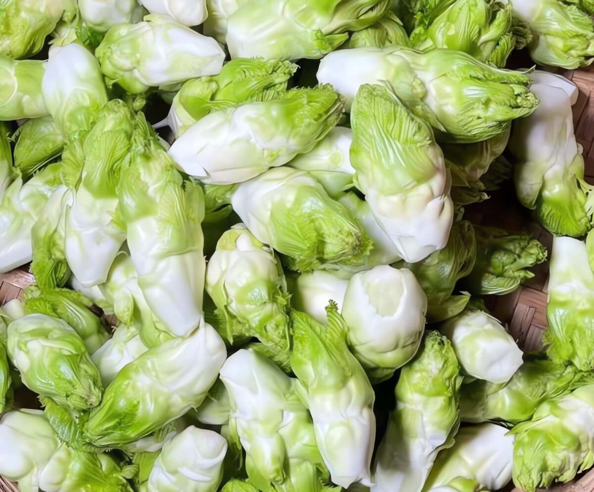 Loại rau chỉ miền núi mới có, ăn đắng ngẫm ngọt, giúp ngủ ngon, sáng mắt, giải độc, xào thịt bò ngon xỉu - 3