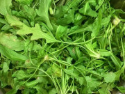 Bếp Eva - Loại rau dại ít người biết, ngon hơn rau hẹ, bổ hơn bắp cải, dưỡng gan, tốt cho mắt, làm nhân sủi cảo cực thơm