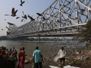 Sức khỏe - 5 y bác sĩ nhiễm virus Nipah, Ấn Độ cách ly gần 100 người