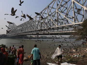 5 y bác sĩ nhiễm virus Nipah, Ấn Độ cách ly gần 100 người