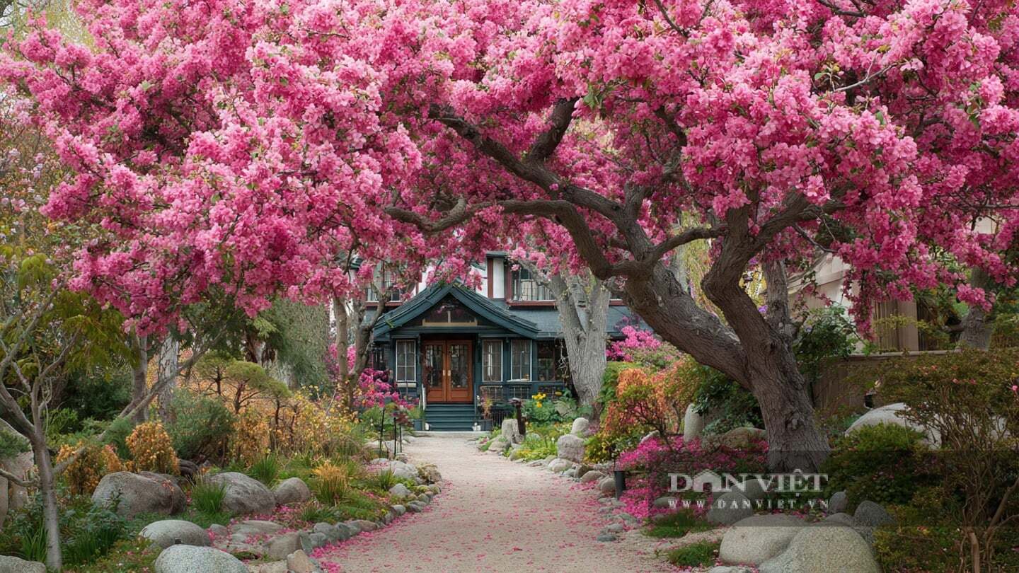 Người xưa dặn: Trồng 4 cây cảnh trong sân, tổ tiên hưởng phước lành,con cháu nhận giàu sang, phú quý - 9