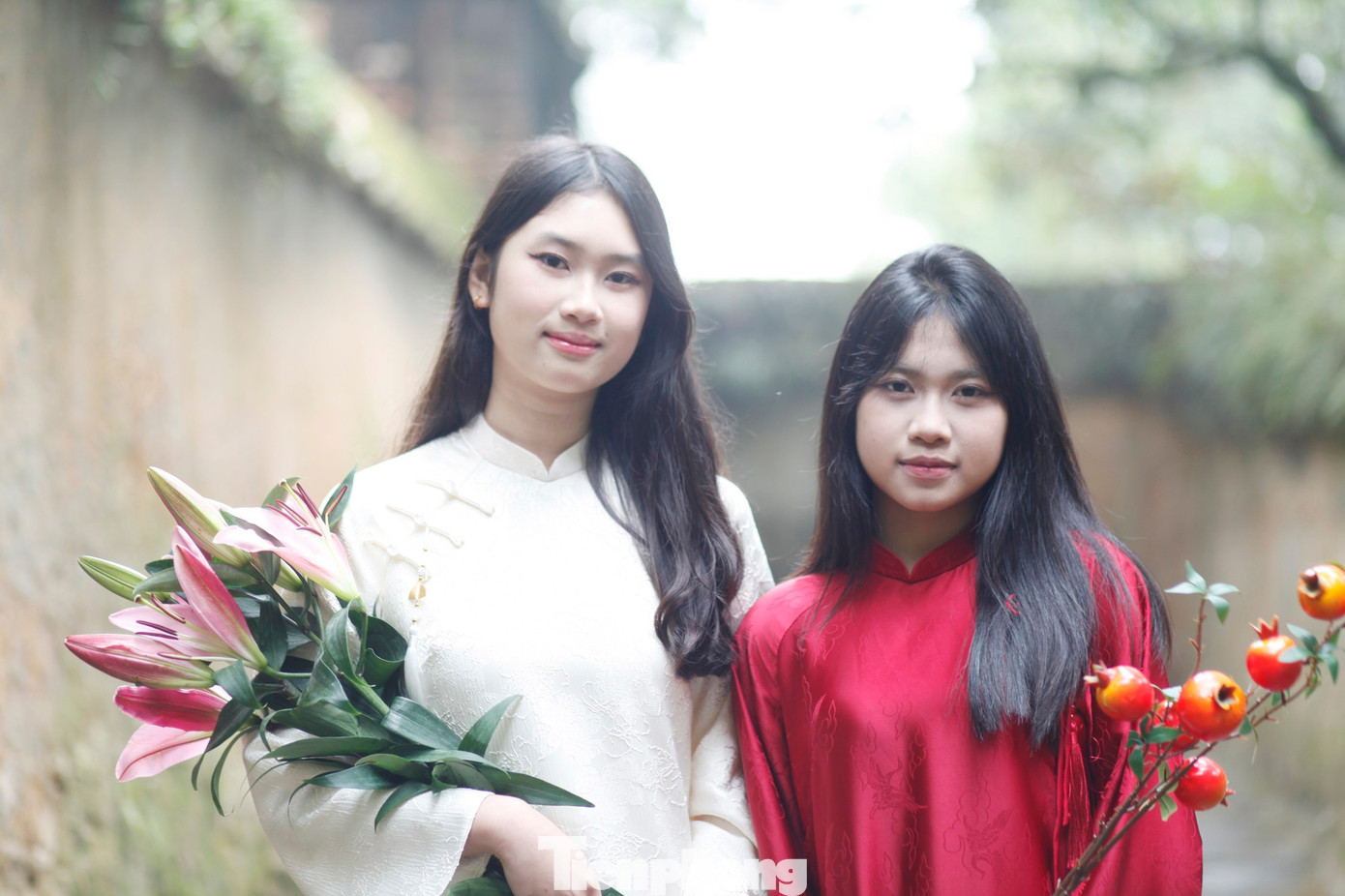 img src/upload/1-2026/images/2026-01-28/1769565208-tp-t5-width1390height926.jpg width660 /