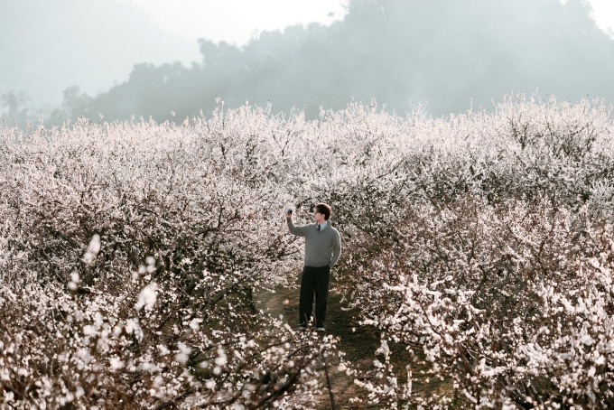 Thung Lũng Mận Mu Náu. Video: Katherine Nguyễn