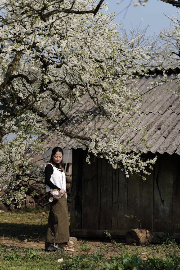 Mộc Châu Mùa Amp;#34;Trắng Xóaamp;#34;: 5 Tọa Độ Check-In Hoa Mận Không Nên Bỏ Qua - 2