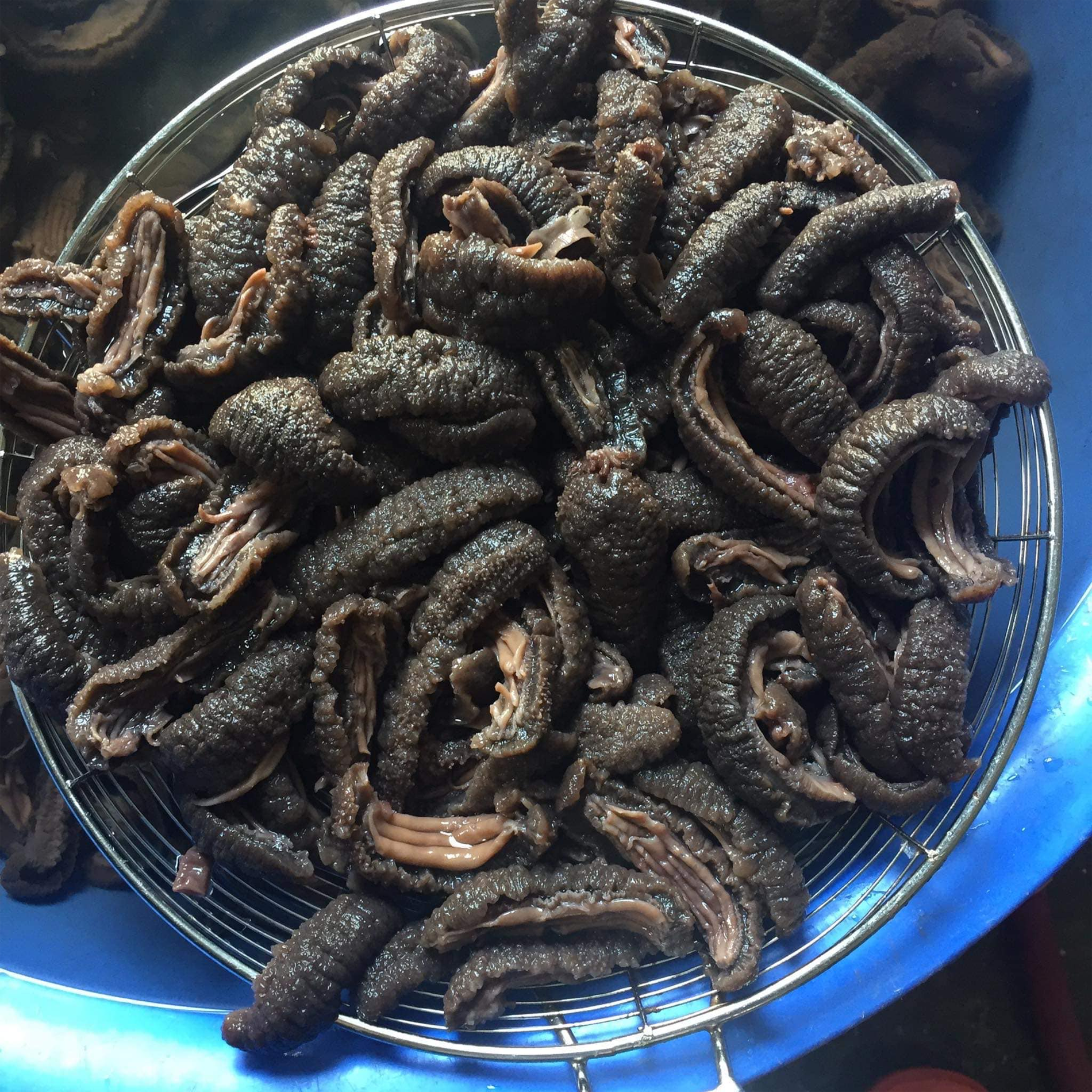 Hải sâm đen sau khi sơ chế. Ảnh: Nguyễn Sỹ Hiệp
