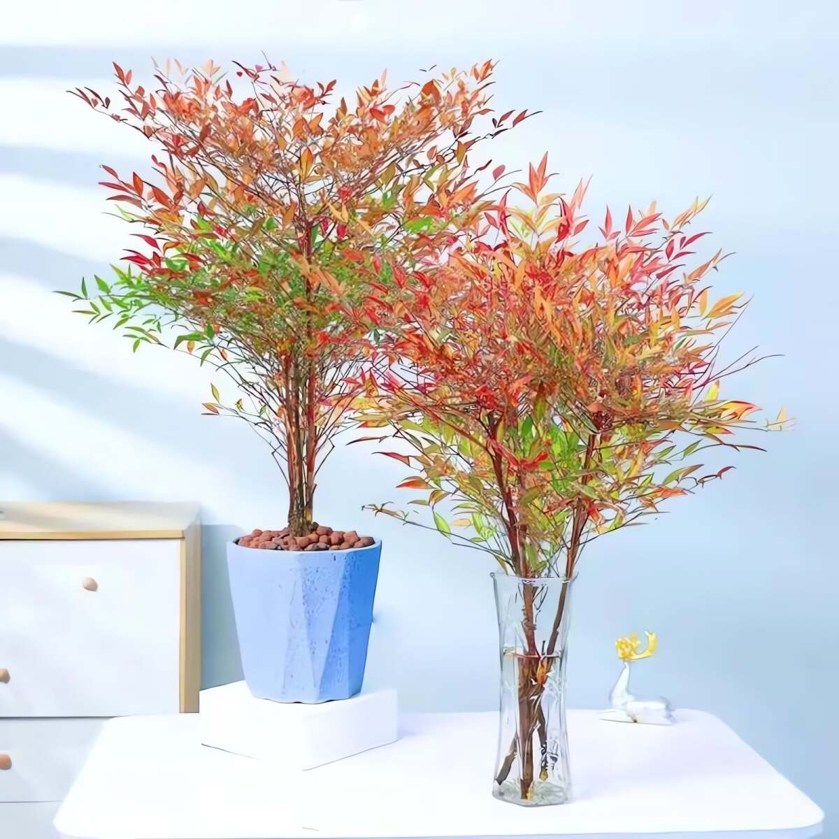 Cây xanh giống như những thành viên thầm lặng trong gia đình