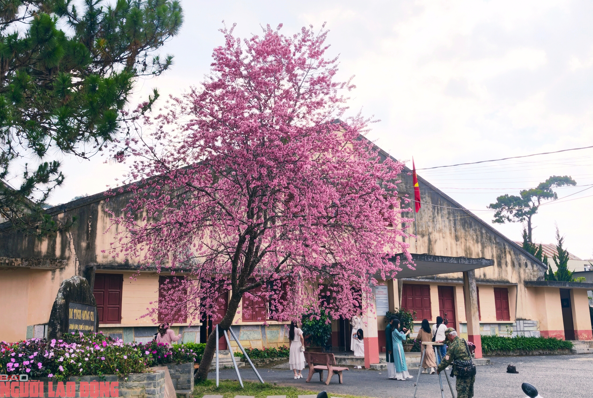 Nhà lao Thiếu nhi Đà Lạt (đường Hồ Xuân Hương, phường Lâm Viên Đà Lạt) được công nhận là Di tích quốc gia năm 2009.