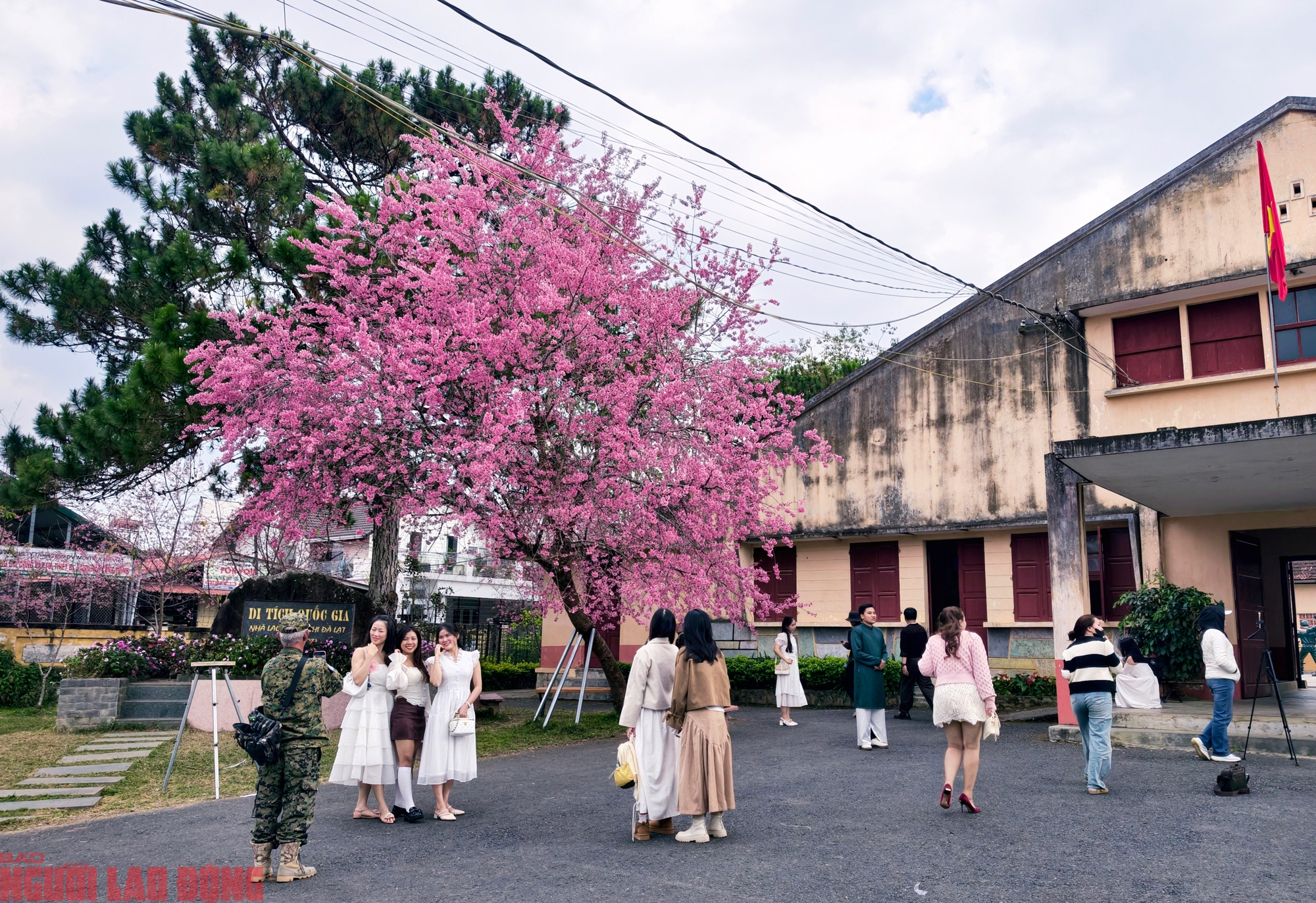 img src/upload/1-2026/images/2026-01-30/1769745010-base64-53684-width2000height1373.jpeg width660 /