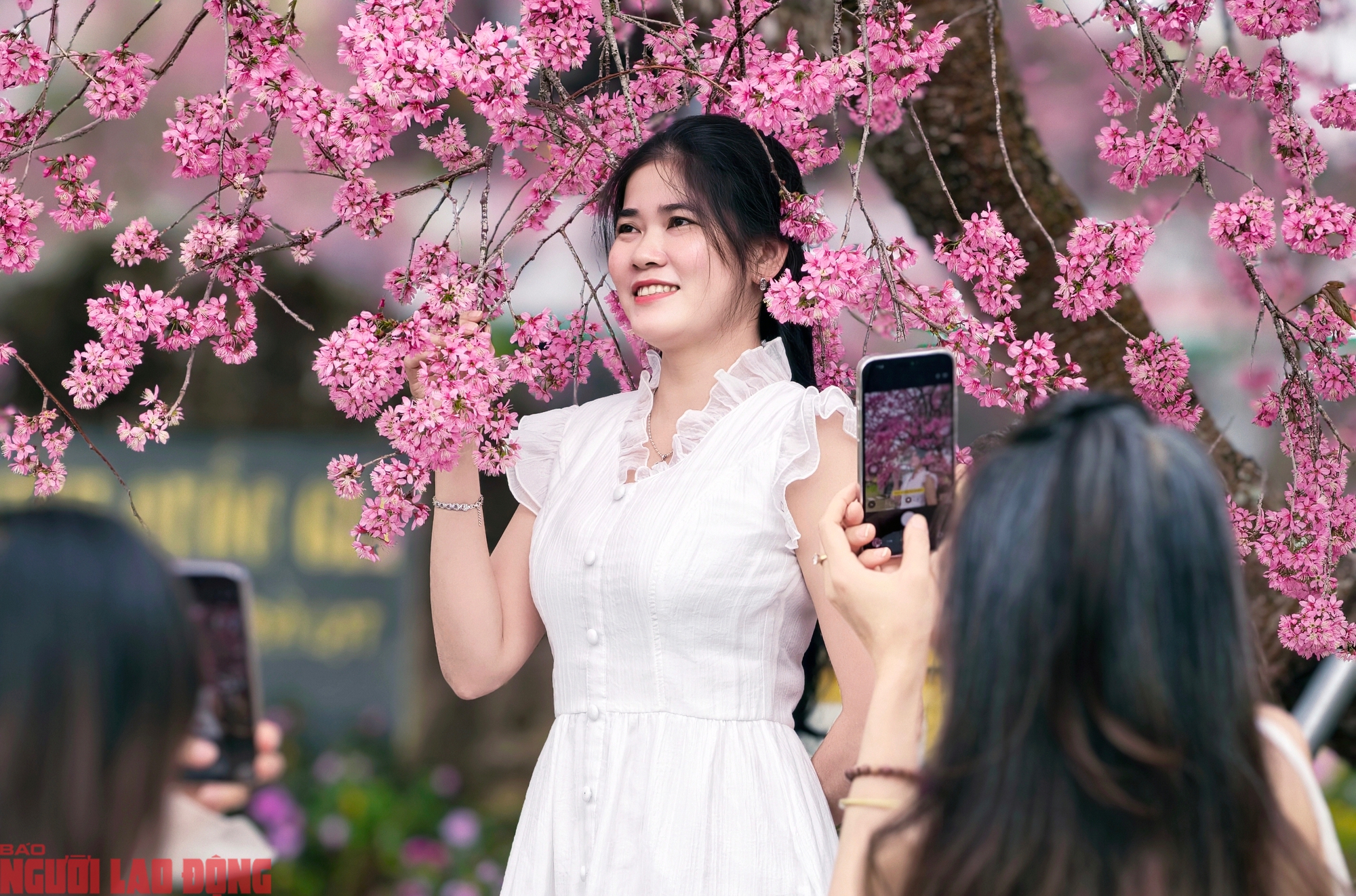 Sau khi được công nhận là Di tích quốc gia vào năm 2009, Nhà lao Thiếu nhi Đà Lạt được trùng tu và đưa vào hoạt động tham quan từ năm 2016 đến nay.