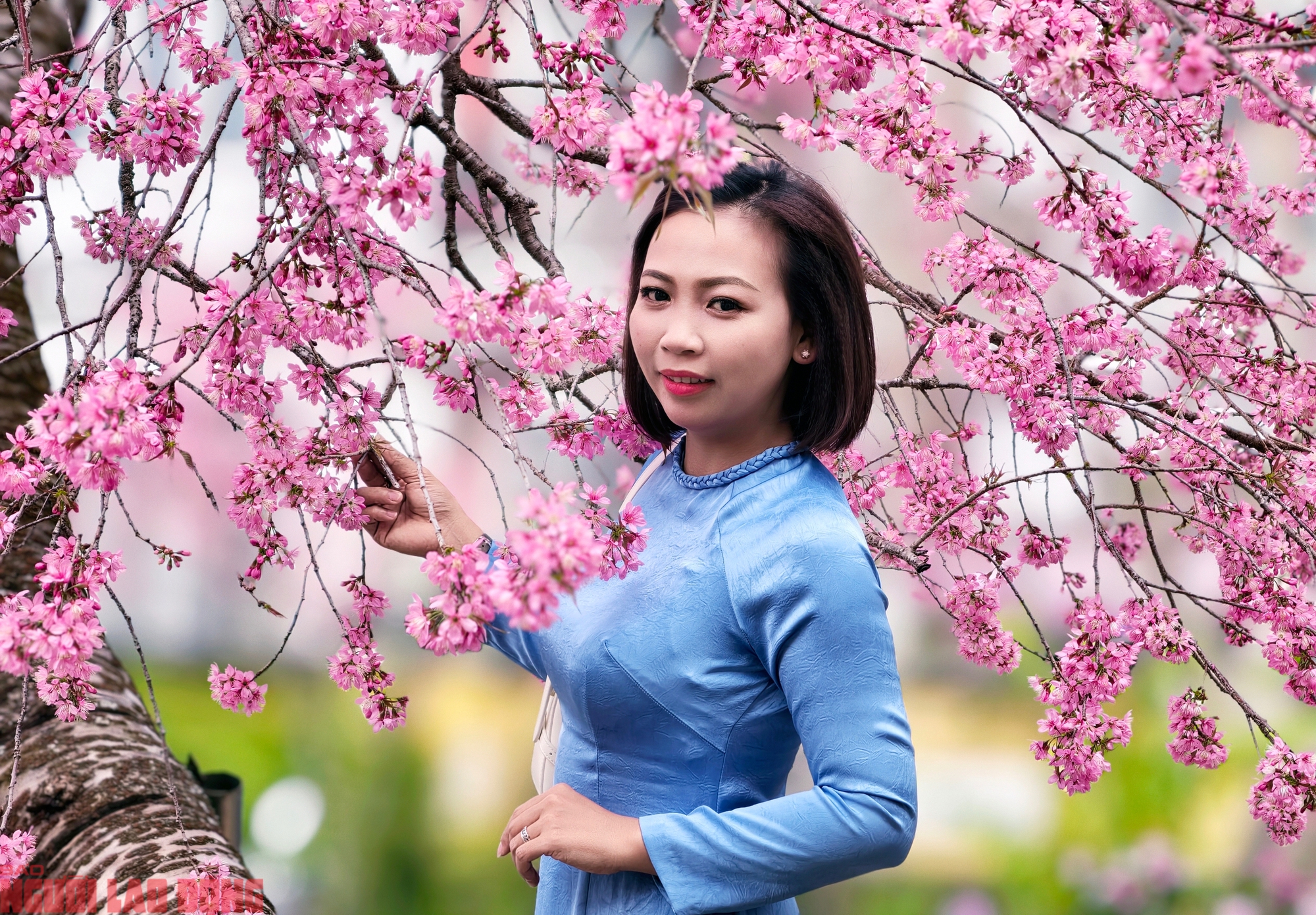 img src/upload/1-2026/images/2026-01-30/1769745018-base64-59744-width2000height1347.jpeg width660 /