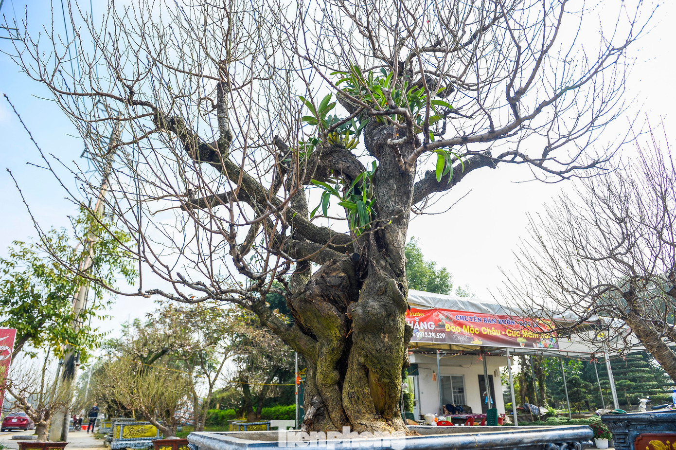 img src/upload/1-2026/images/2026-01-31/1769830929-tp-4-8713-width1390height925.jpg width660 /