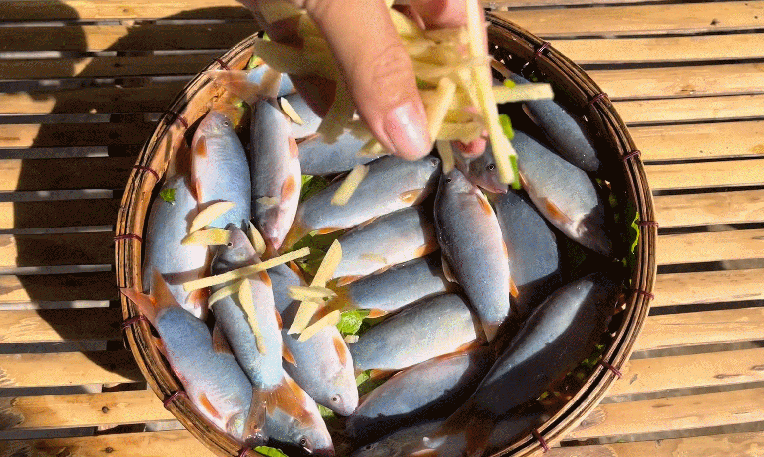 Tuy là sản vật dân dã nhưng cá heo nước ngọt ở miền Tây có giá đắt hơn tôm, cua, dao động 500.000 - 800.000 đồng/kg. Ảnh: Huyền Phi Official