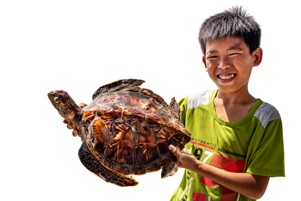 Con Đồi Mồi (Tiêu Bản) Gợi Nhớ Đến Hòn Sơn Rái Một Thời Bạt Ngàn Cua, Ốc, Rái Cá, Rùa Biển. Ảnh: Lê Văn Chương