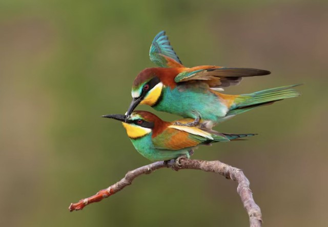 Con đường tài lộc của người sinh ngày 10 và 13 Âm lịch thường phát triển ổn định, thu nhập ngày càng tăng - Ảnh minh họa.