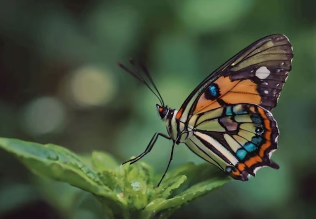 Người có ngày sinh Âm lịch kết thúc bằng số 7 thường có tuổi già nhẹ nhõm. Ít lo, ít sợ, ít bất an. Ảnh minh họa