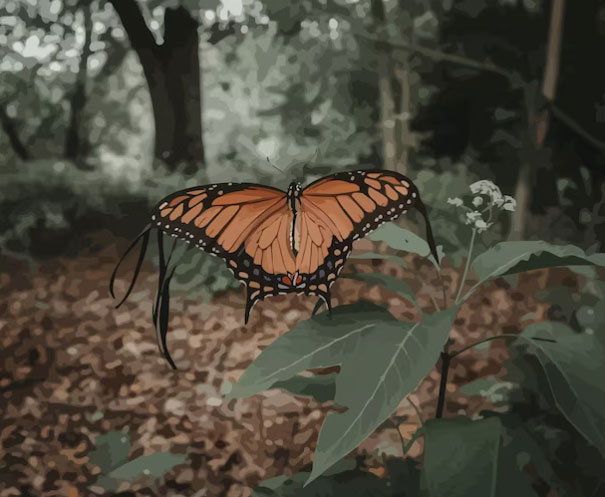 Người có ngày sinh Âm lịch kết thúc bằng số 9 thường tự chủ khi về già, không phụ thuộc con cháu, không tạo gánh nặng cho gia đình. Ảnh minh họa