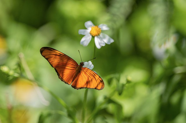 Phúc của người ngày sinh Âm lịch kết thúc bằng số 2 không nằm ở tiền bạc, mà nằm ở một gia đình ấm, một mái nhà có tiếng cười, một tuổi già không cô đơn. Ảnh minh họa
