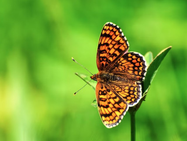 Điều đáng quý hơn là người có ngày sinh Âm lịch kết thúc bằng số 4 không chỉ tích lũy cho mình, mà còn dạy con cháu tư duy tài chính đúng đắn. Ảnh minh họa