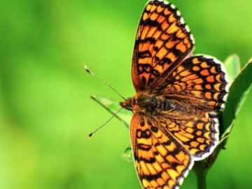 Eva tám - Ngày sinh Âm lịch của người sống thọ, càng già càng hưởng phúc, con cháu ba đời khấm khá