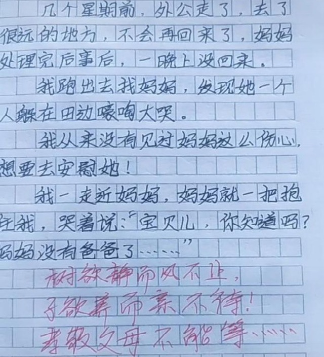 Bài văn của cậu bé lớp 2.